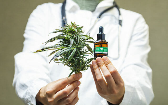 medical-marijuana-marketing-for-doctors
